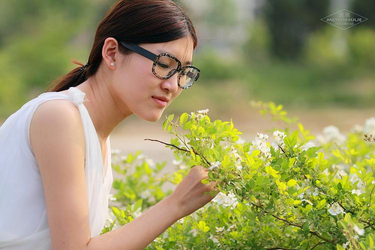 权限管理界面展示